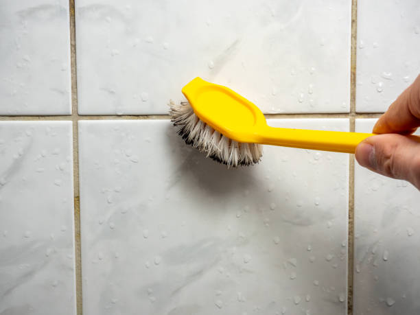 Best Mold Cleaning Services  in Washington, GA