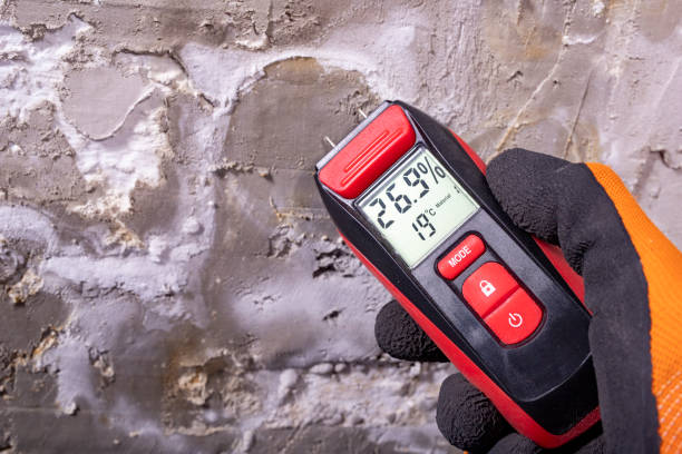 Best Toxic Mold Removal  in Washington, GA