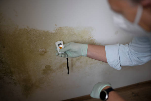 Best Mold Testing  in Washington, GA