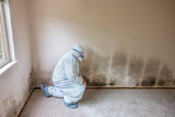 Best Mold Testing  in Washington, GA
