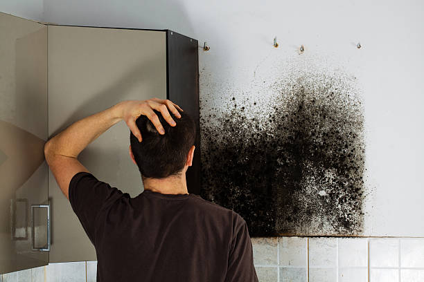 Best Mold Cleaning Services  in Washington, GA