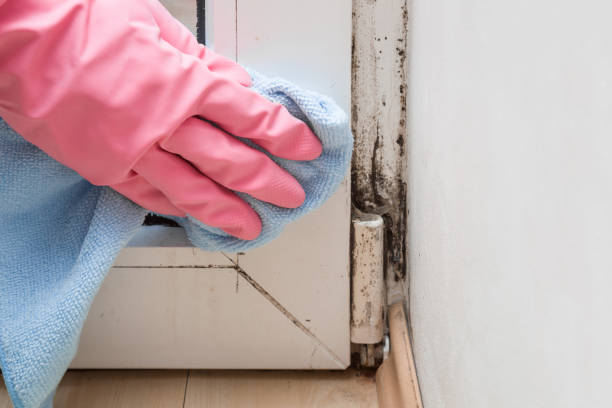 Best Mold Testing  in Washington, GA